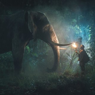 Jumanji: Welcome to the Jungle Picture 28