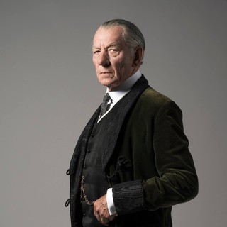 Mr. Holmes Picture 11