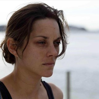 Rust and Bone Picture 13