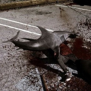 Sharknado Picture 9