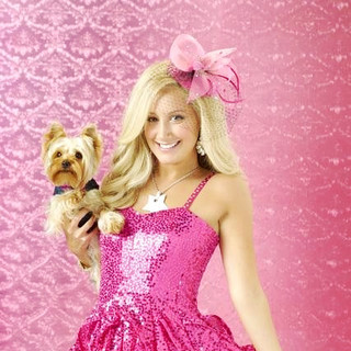 Sharpay's Fabulous Adventure Picture 1