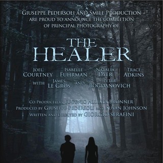The Healer Picture 1
