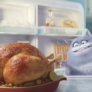 The Secret Life of Pets Picture 3