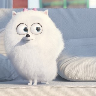 The Secret Life of Pets Picture 7