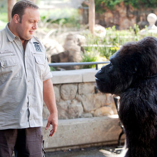 Zookeeper Picture 3