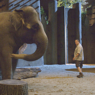 Zookeeper Picture 6
