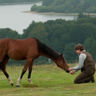 War Horse Picture 16