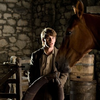 War Horse Picture 12