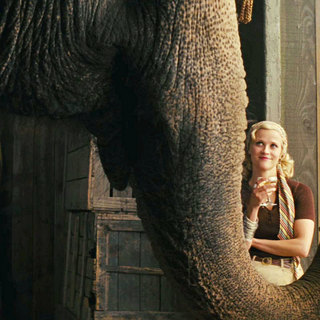 Water for Elephants Picture 2