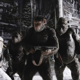 War for the Planet of the Apes Picture 8