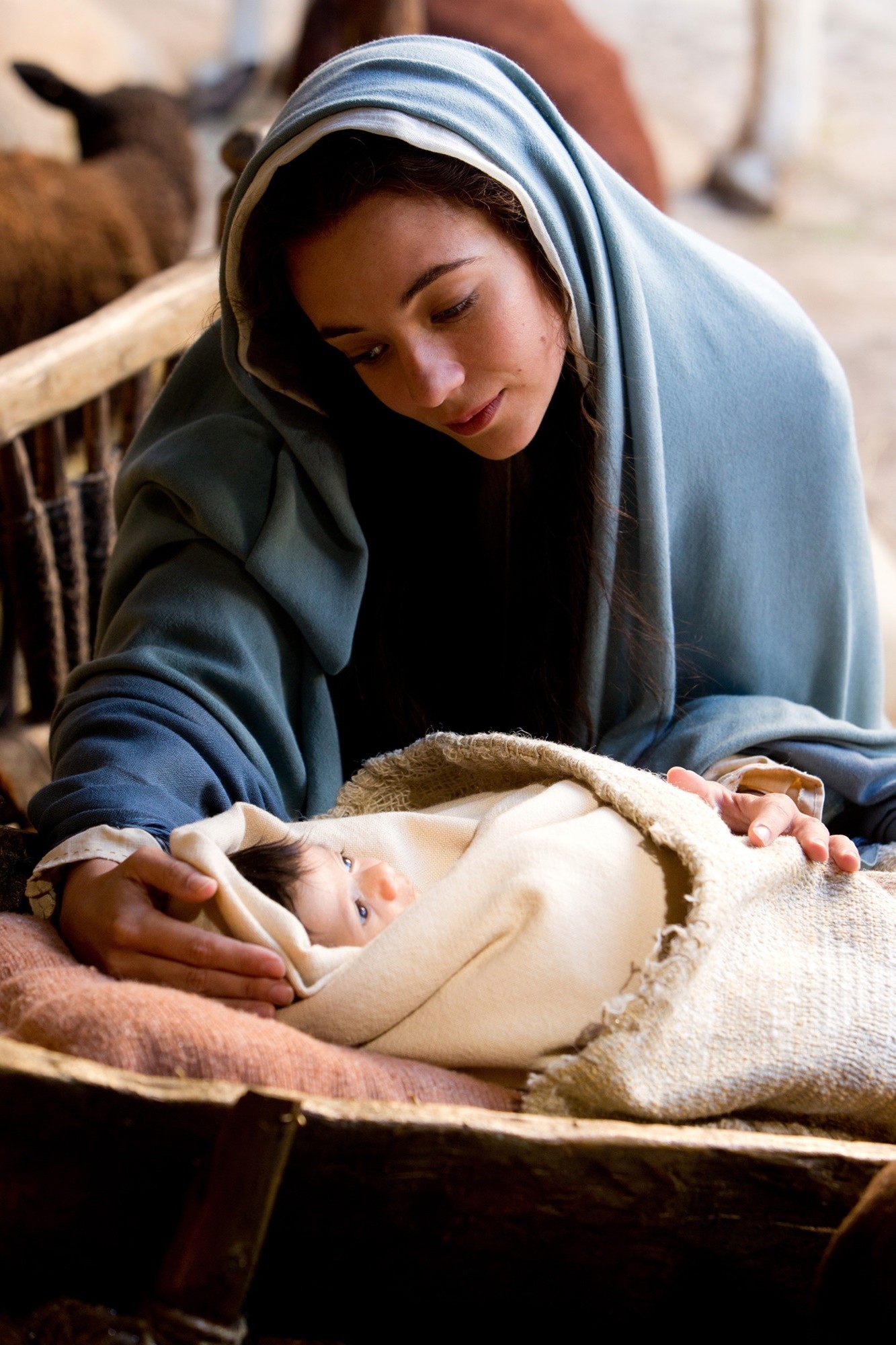 Sara Lazzaro stars as Mary in Focus Features' The Young Messiah (2015)