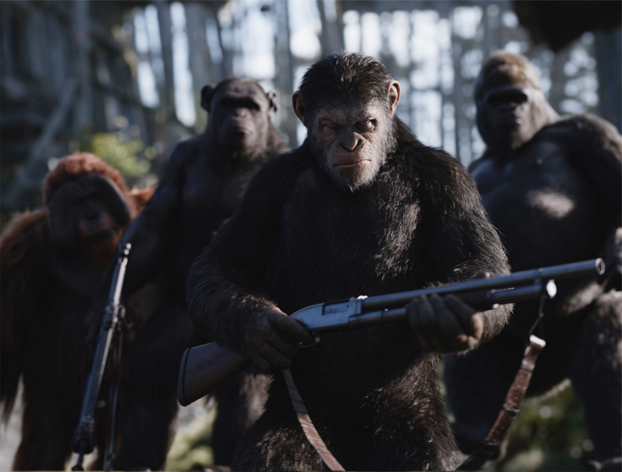 Maurice, Rocket, Caesar and Luca from 20th Century Fox's War for the Planet of the Apes (2017)