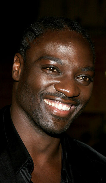Adewale Akinnuoye-Agbaje