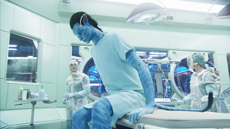 'Avatar' Officially the Highest Grossing Movie Ever, Story for the Sequel Discussed