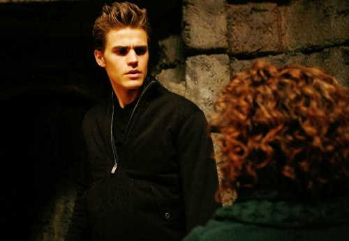 Webclip of 'Vampire Diaries' Episode 'Fool Me Once'