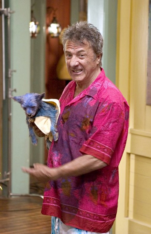 'Little Fockers' Could Reshoot to Add Dustin Hoffman Element