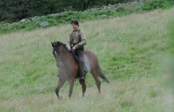 On-Set Photos of Steven Spielberg's 'War Horse' Emerge