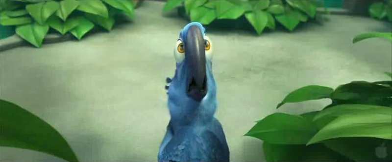 First Full Trailer for 'Rio' Highlights the Adventurous Story