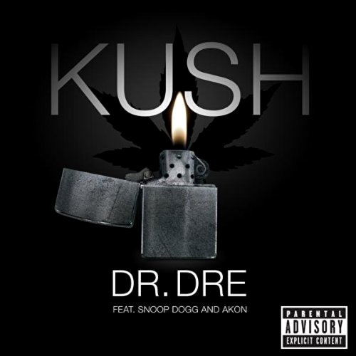 Video Premiere: Dr. Dre's 'Kush' Ft. Akon and Snoop Dogg