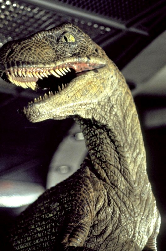 Report of 'Jurassic Park IV' in Production Denied