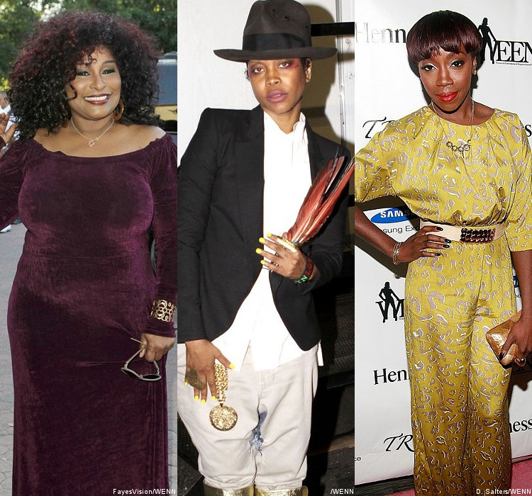 Chaka Khan, Erykah Badu, Estelle and Some Boys Join 2011 'VH1 Divas'