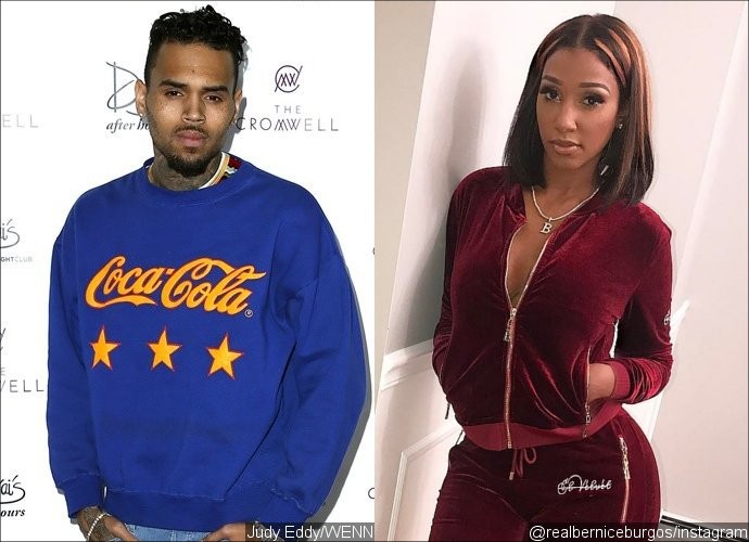 Chris Brown's 'Sliding' Into Bernice Burgos' DMs - Should T.I. Worry?