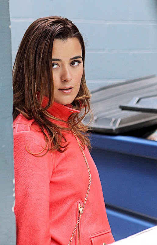 Cote de Pablo to Quit 'NCIS' in Season 11