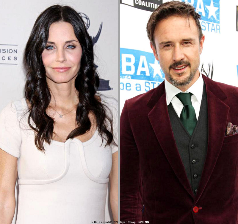 Courteney Cox and David Arquette Might Be in Therapy for Their Reunion