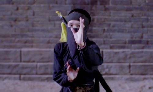 'Crouching Tiger, Hidden Dragon' Sequel in the Works for May Start Date
