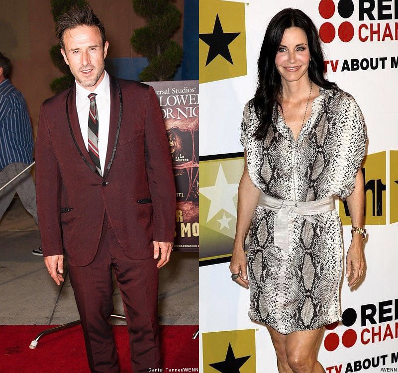 David Arquette Squashed Possible Reconciliation With Courteney Cox