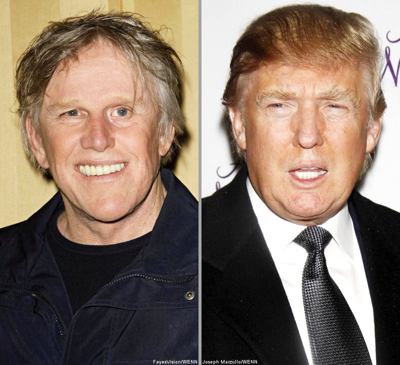 Gary Busey Supports Donald Trump in His Bid to Run for President