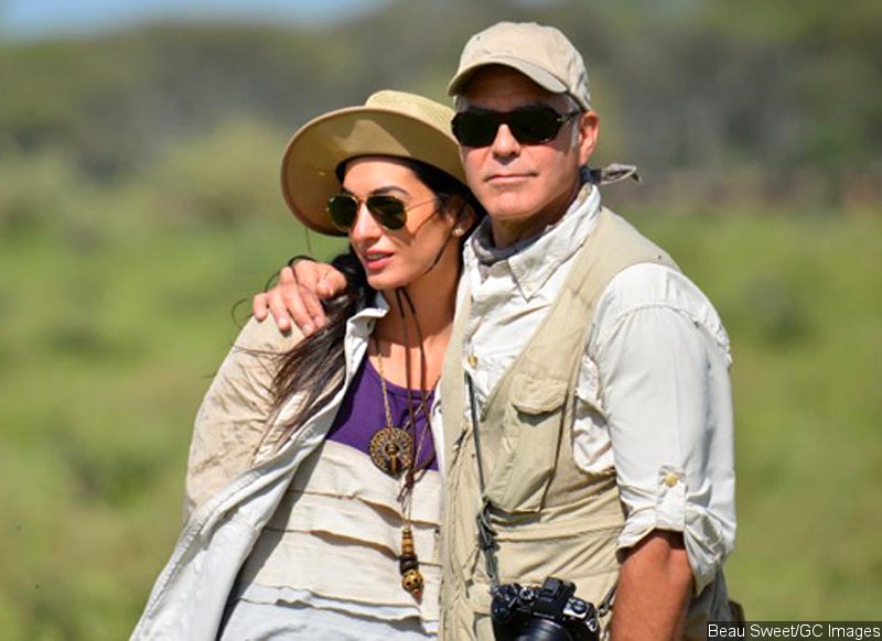 George Clooney's Fiancee Amal Alamuddin Turns Down UN's Offer to Investigate War Crimes in Gaza