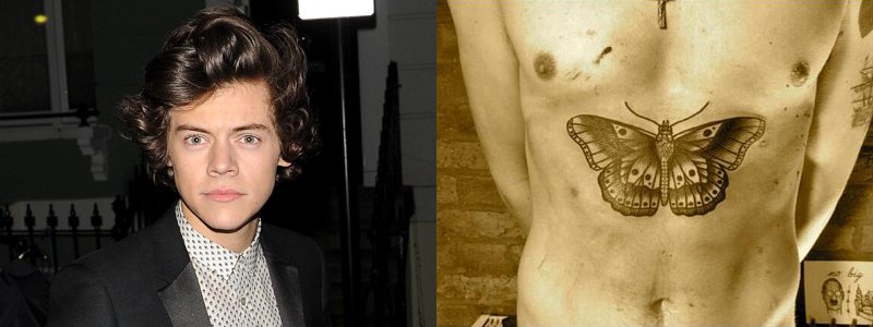 Harry Styles Reveals Huge Butterfly Tattoo on Chest