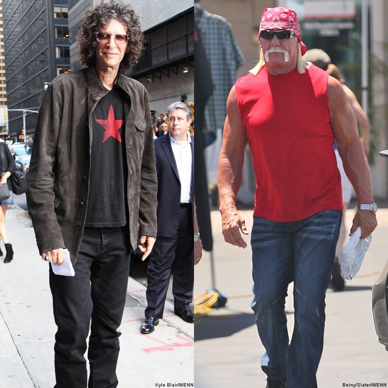 Howard Stern to Help Bubba in Hulk Hogan's Sex Tape Lawsuit