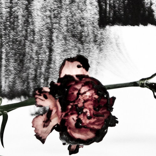 John Legend Debuts New Single 'Who Do We Think We Are' Ft. Rick Ross