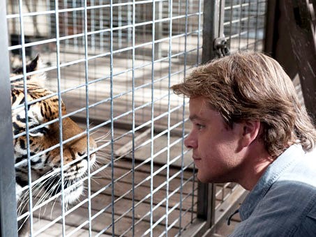 Matt Damon Gets Face-to-Face With Tiger in New 'We Bought a Zoo' Still