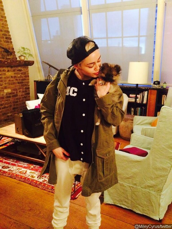 Miley Cyrus Gives Up New Dog: 'It's Just Too Soon for Me'