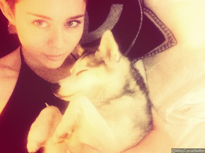 Miley Cyrus on Pet Pooch Floyd's Death: 'This Is Unbearable'