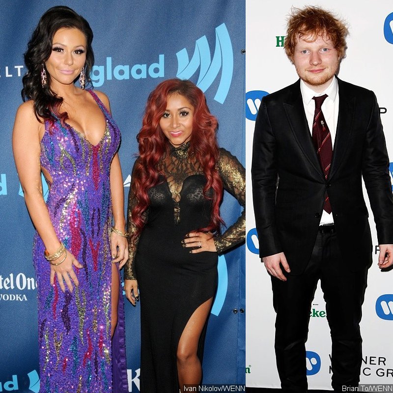 MTV Renews 'Snooki and JWoww', Announces Ed Sheeran Documentary