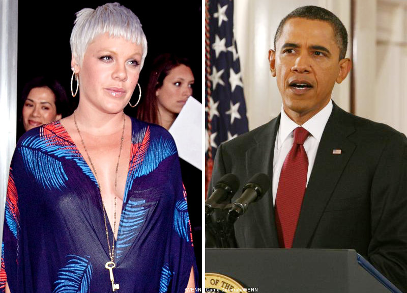 Pink Urge Obama to Enforce New Animal Protection Laws