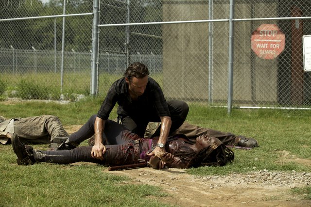 'The Walking Dead': Andrew Lincoln Teases Possible Rick and Michonne Romance