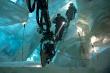 Photo: First Official Images of 'The Thing' Shared
