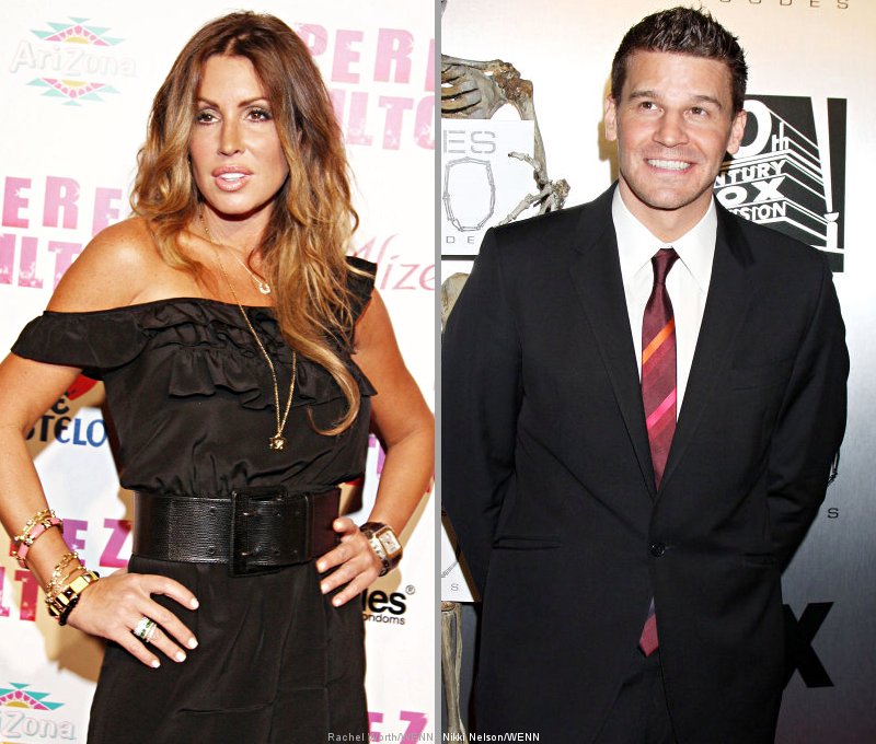 Tiger Woods' Mistress Rachel Uchitel Admits Affair With David Boreanaz