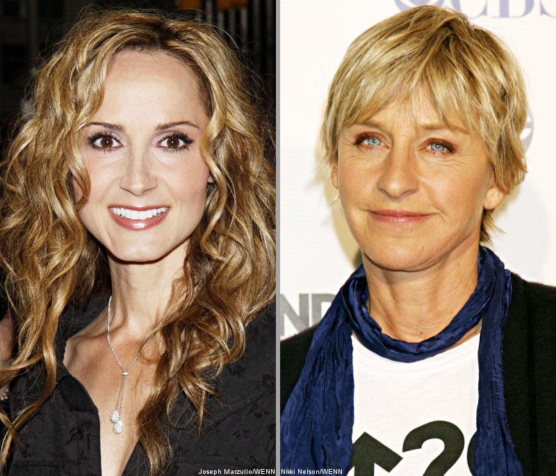 Chely Wright Inspired by Ellen DeGeneres to 'Come Out'