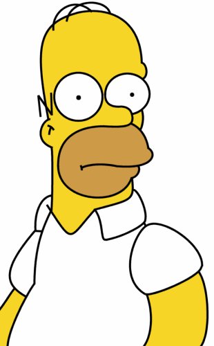 Homer Simpson Dubbed Best Character