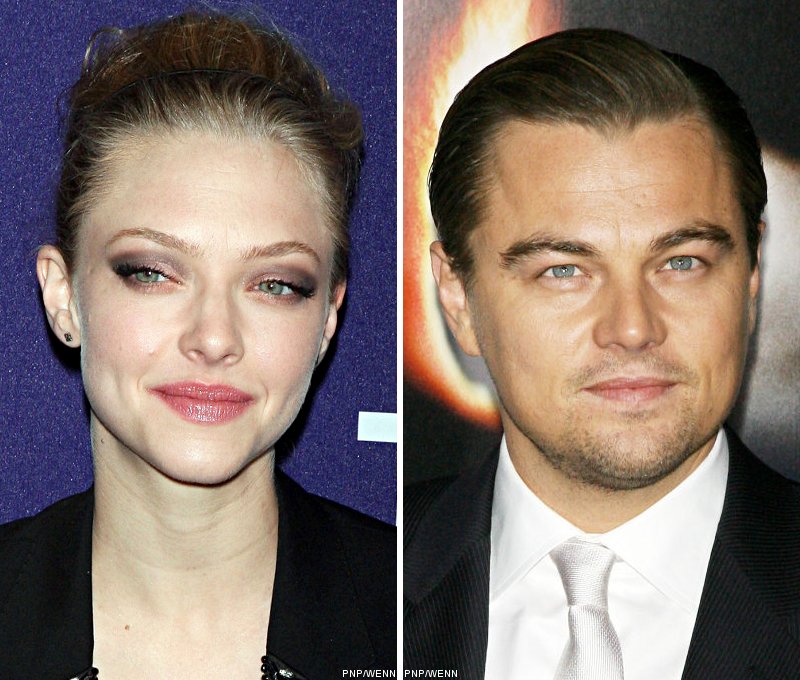 Amanda Seyfried Insulted Leonardo DiCaprio With Role Offer