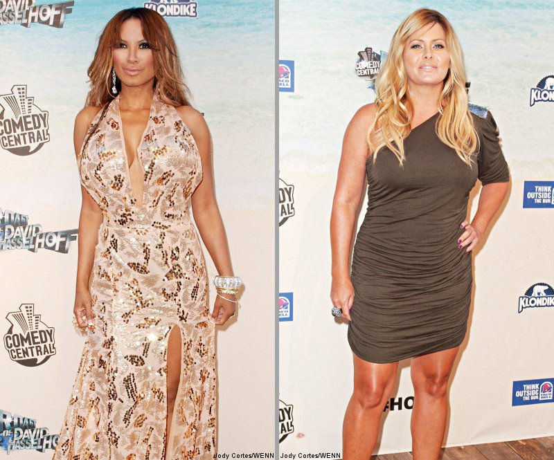 'Baywatch' Babes to Return to Small Screen in Reality Series