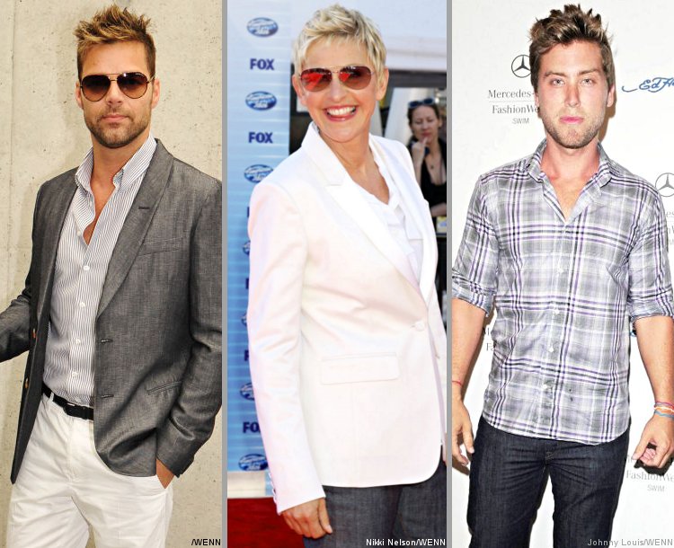 Ricky Martin, Ellen DeGeneres and Lance Bass Thrilled Over Gay Marriage Ruling