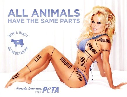 Pamela Anderson Sees Good Side of Her Banned PETA Ad
