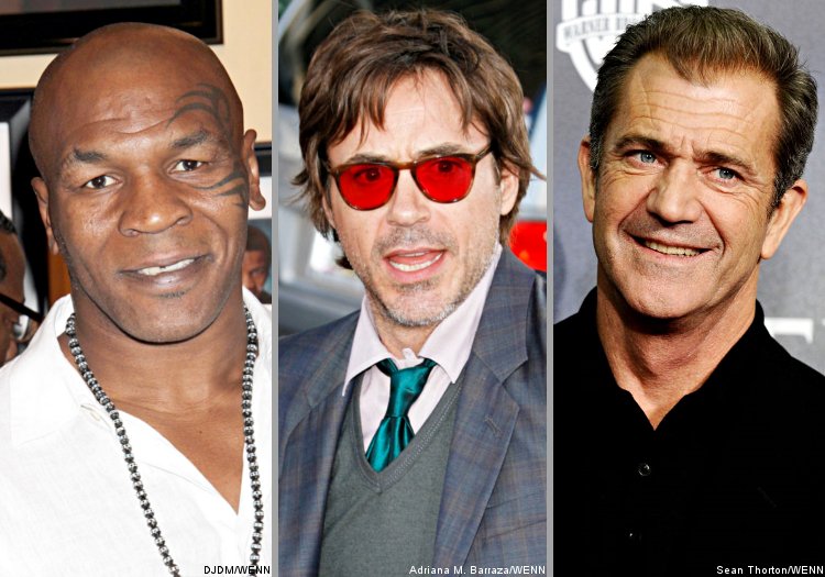 Mike Tyson and Robert Downey Jr. Share Their Opinions About Mel Gibson